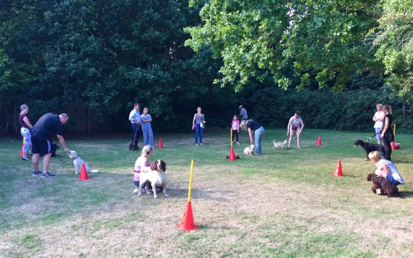 Friday nights training class