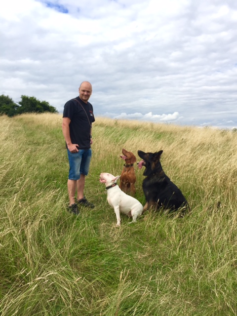 David signs up to ‘Advanced Dog on Person Aggression’ module with The Cambridge Institute of Dog Behaviour & Training